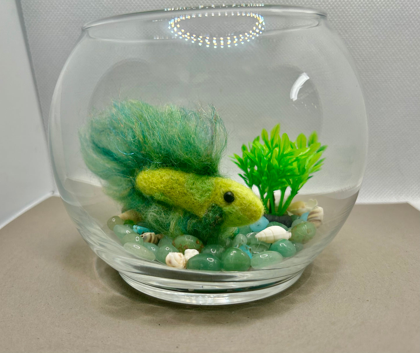 Mini Beta Fish Aquarium