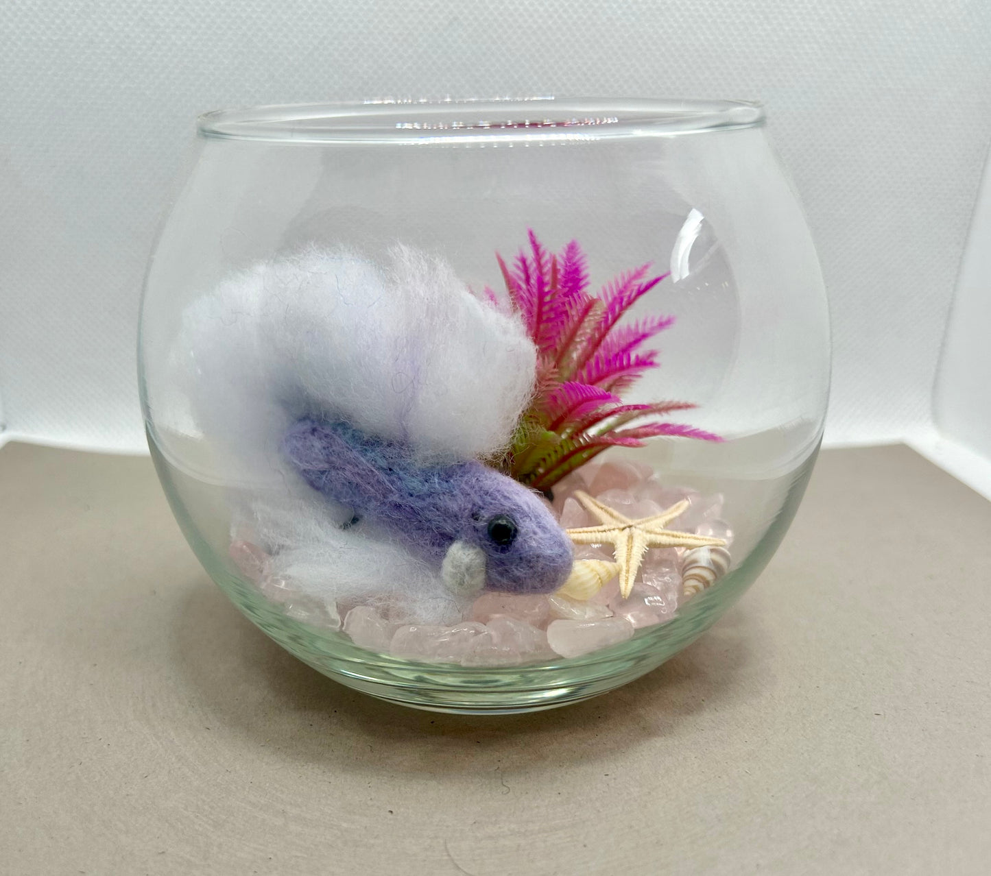 Mini Beta Fish Aquarium