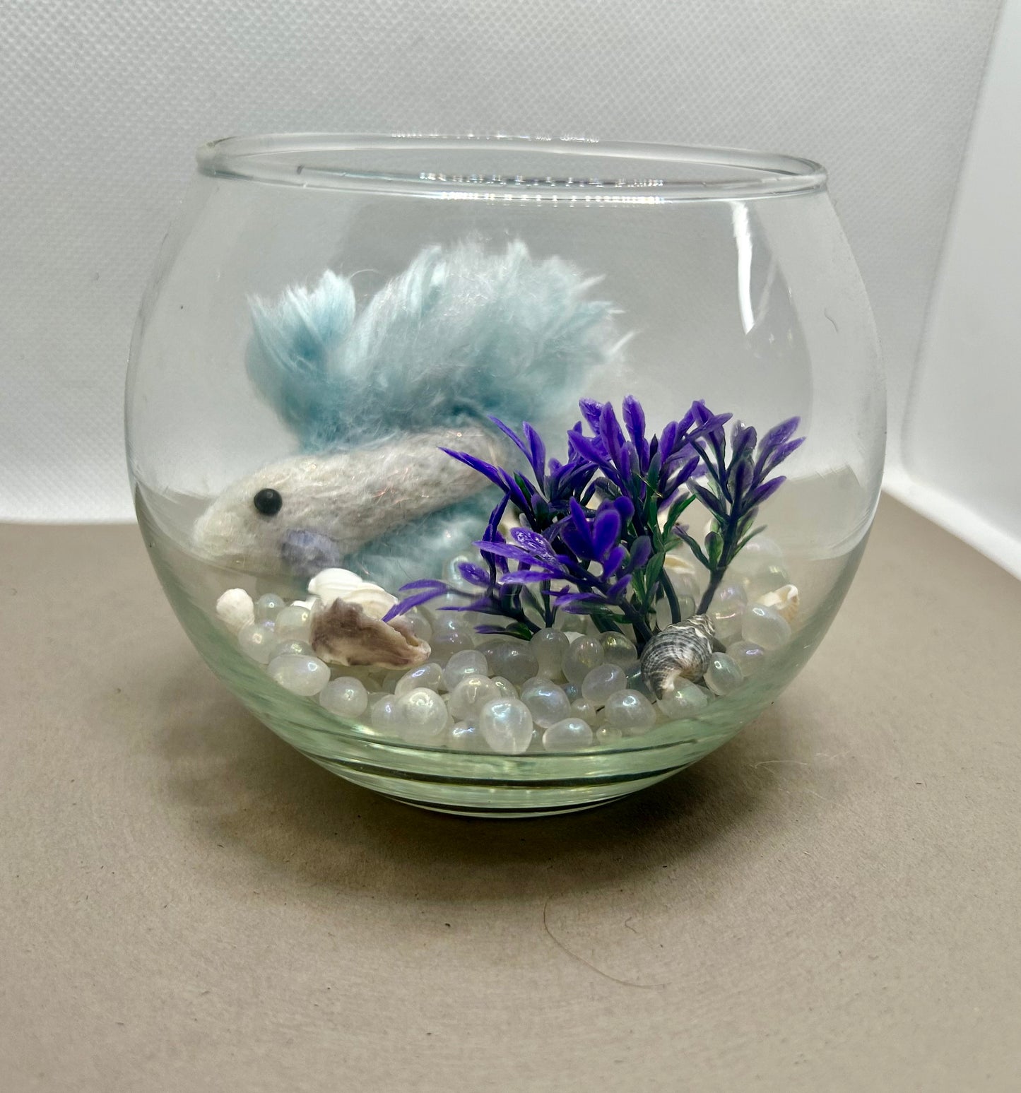 Mini Beta Fish Aquarium
