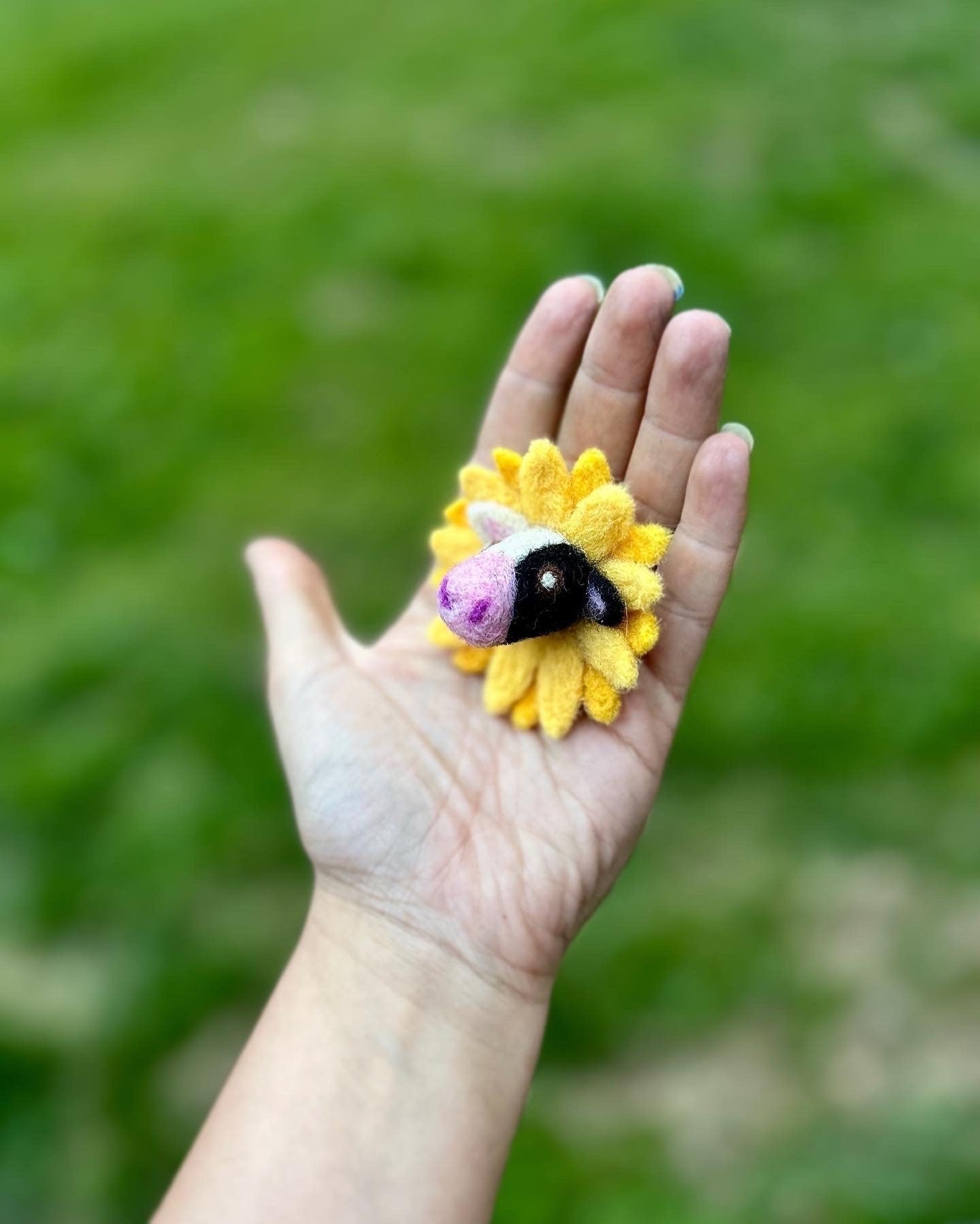 Sunflower Cow