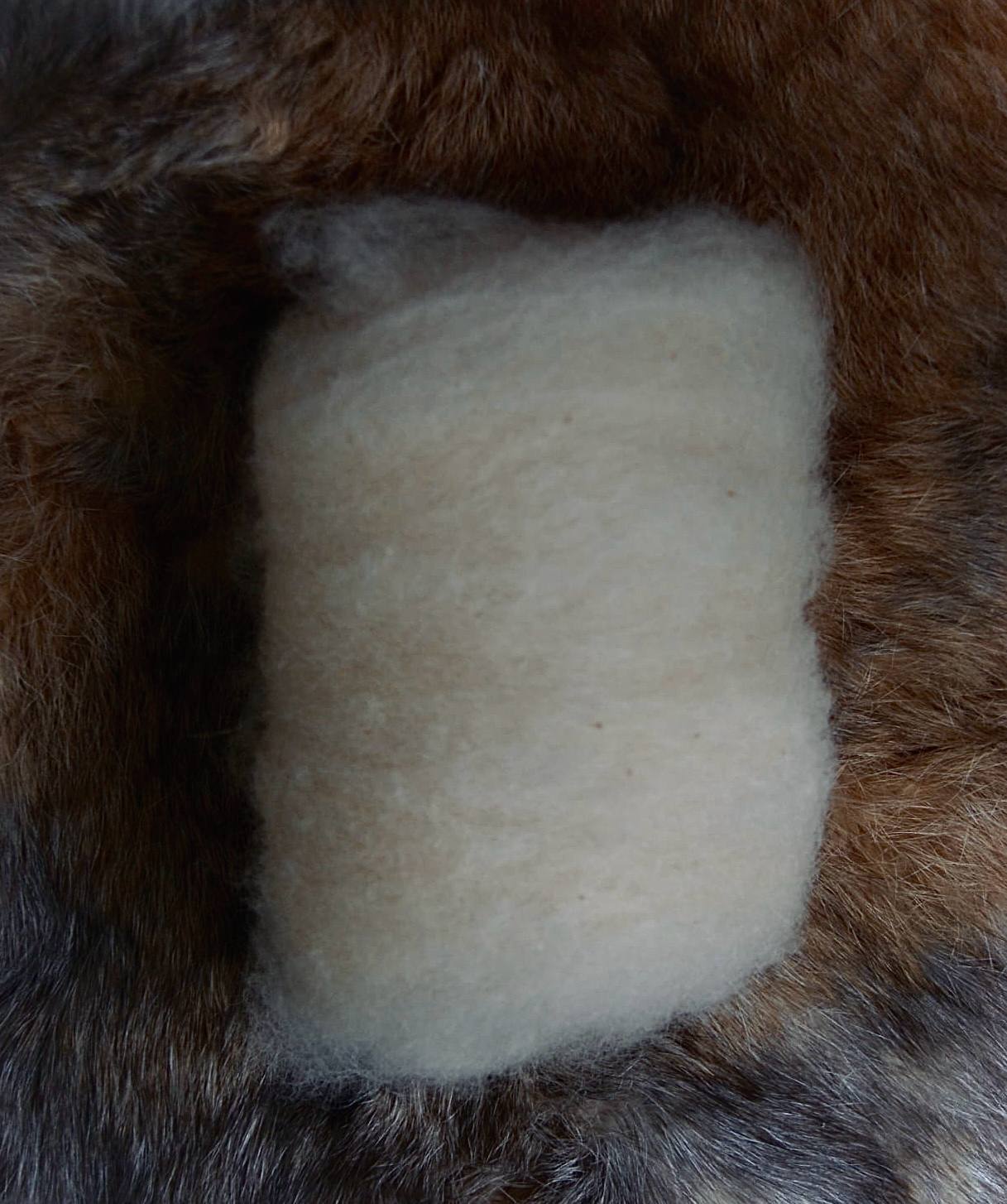Alpaca Batt