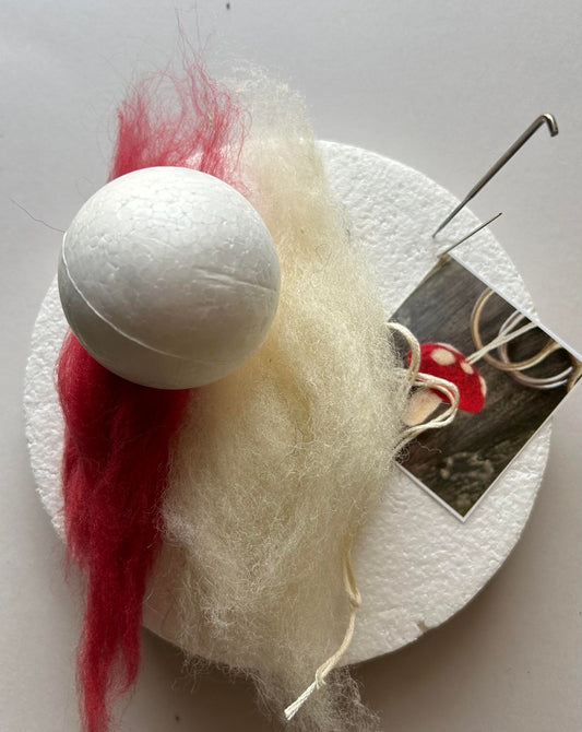 DIY Mushroom Ornament Kit