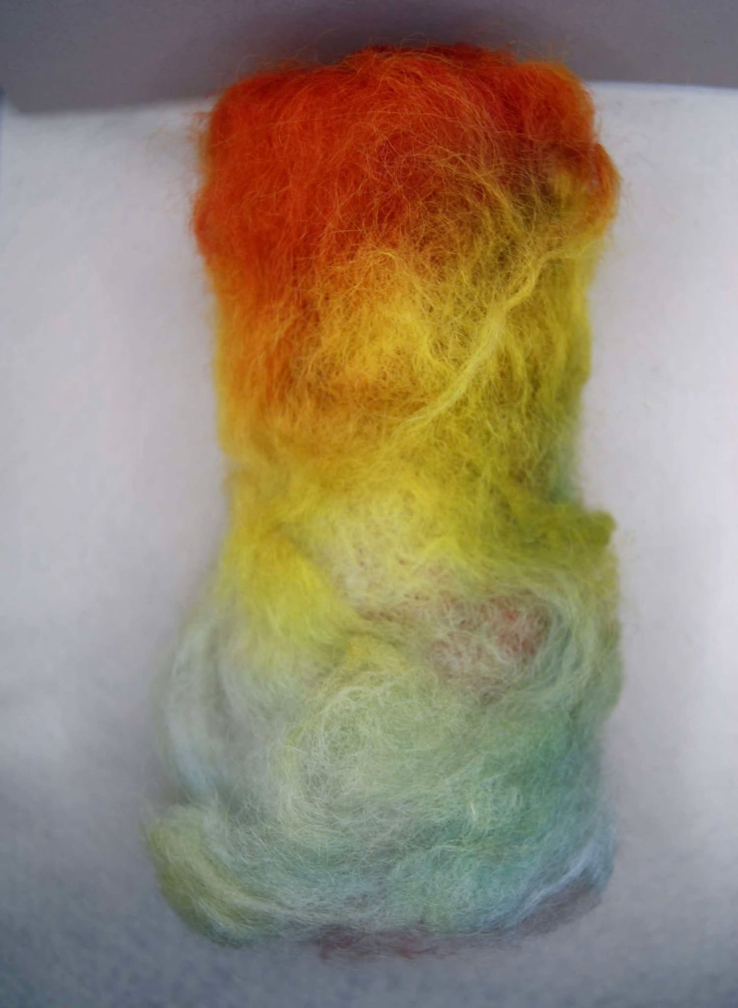 Autumn Rainbow
