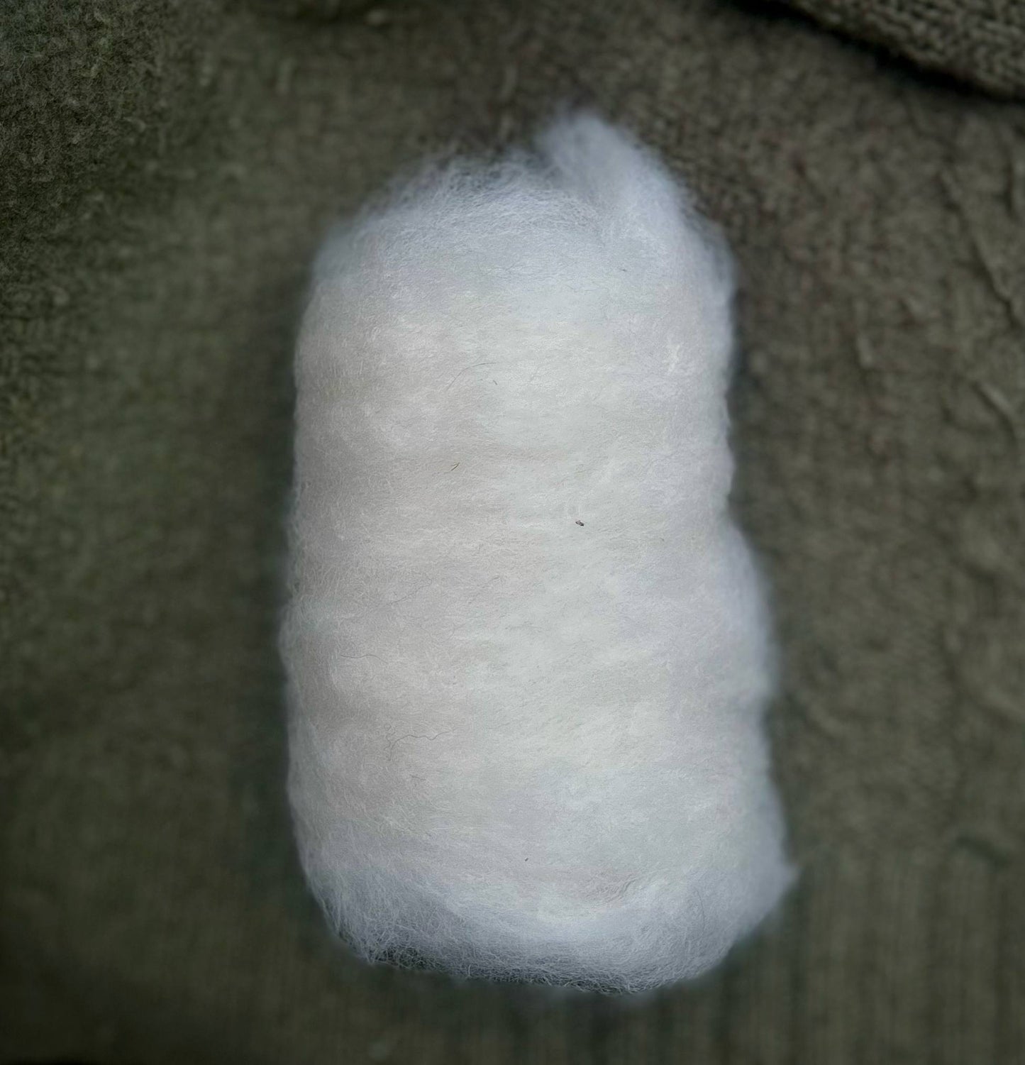 Alpaca Batt