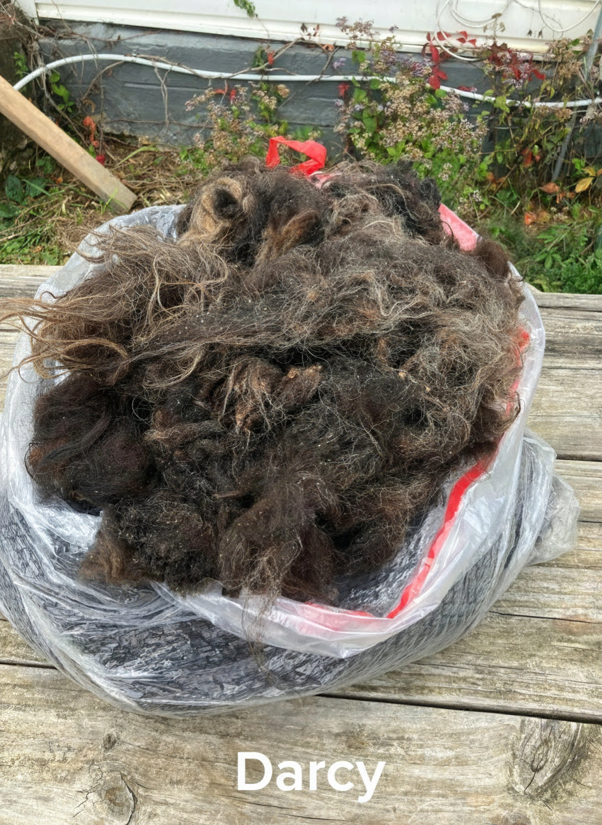 Icelandic Fleeces