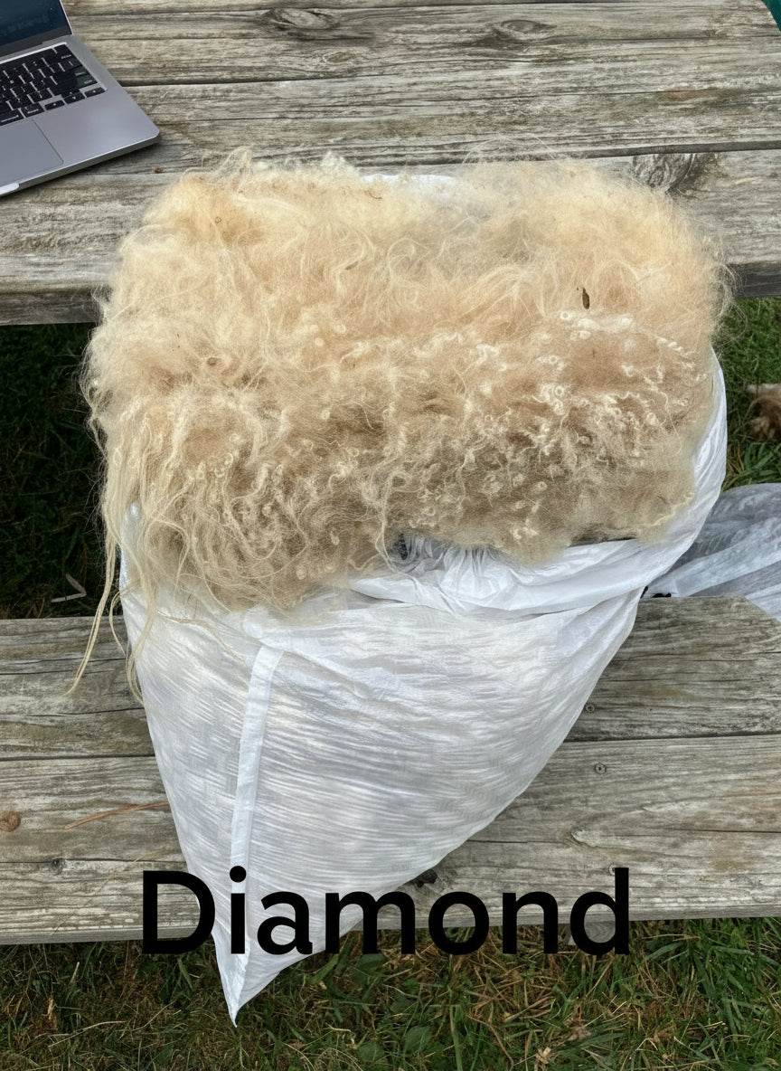 Icelandic Fleeces