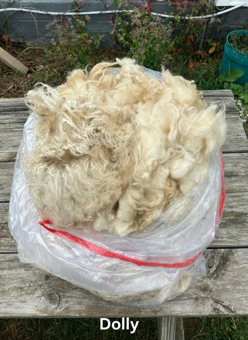 Icelandic Fleeces