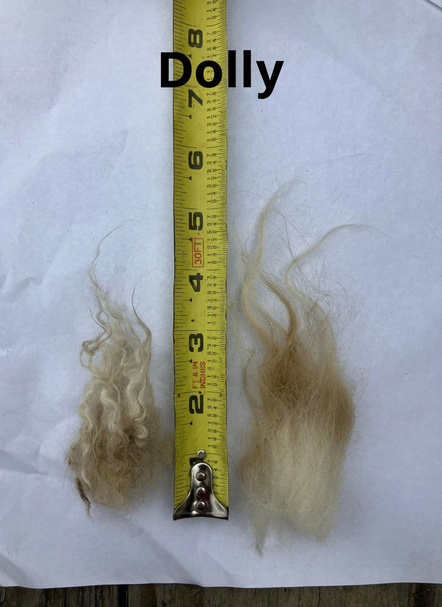 Icelandic Fleeces