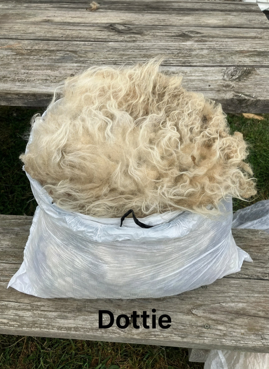 Icelandic Fleeces