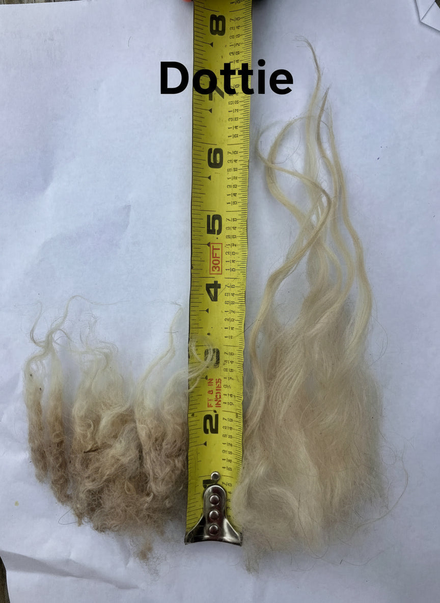 Icelandic Fleeces