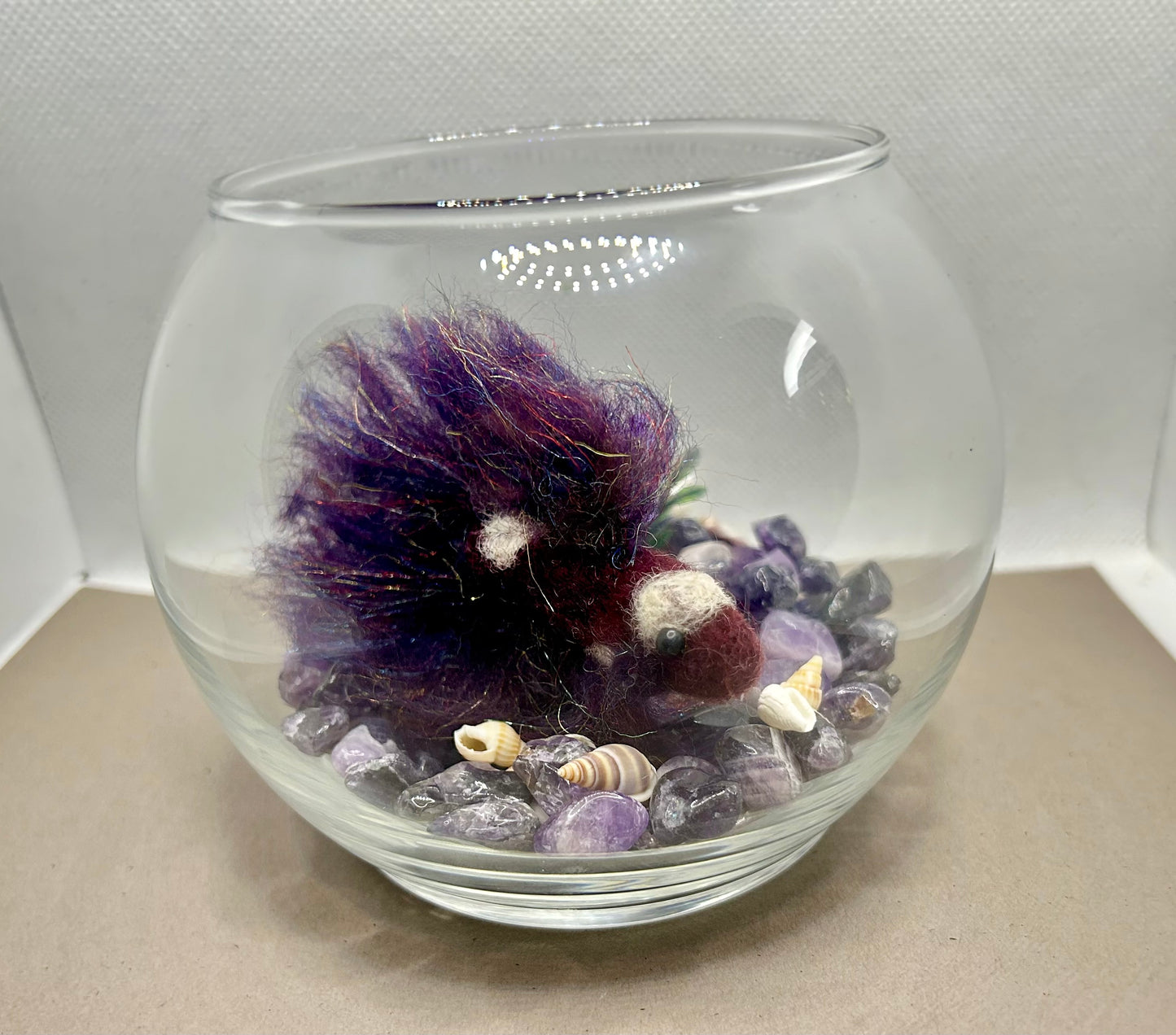 Mini Beta Fish Aquarium