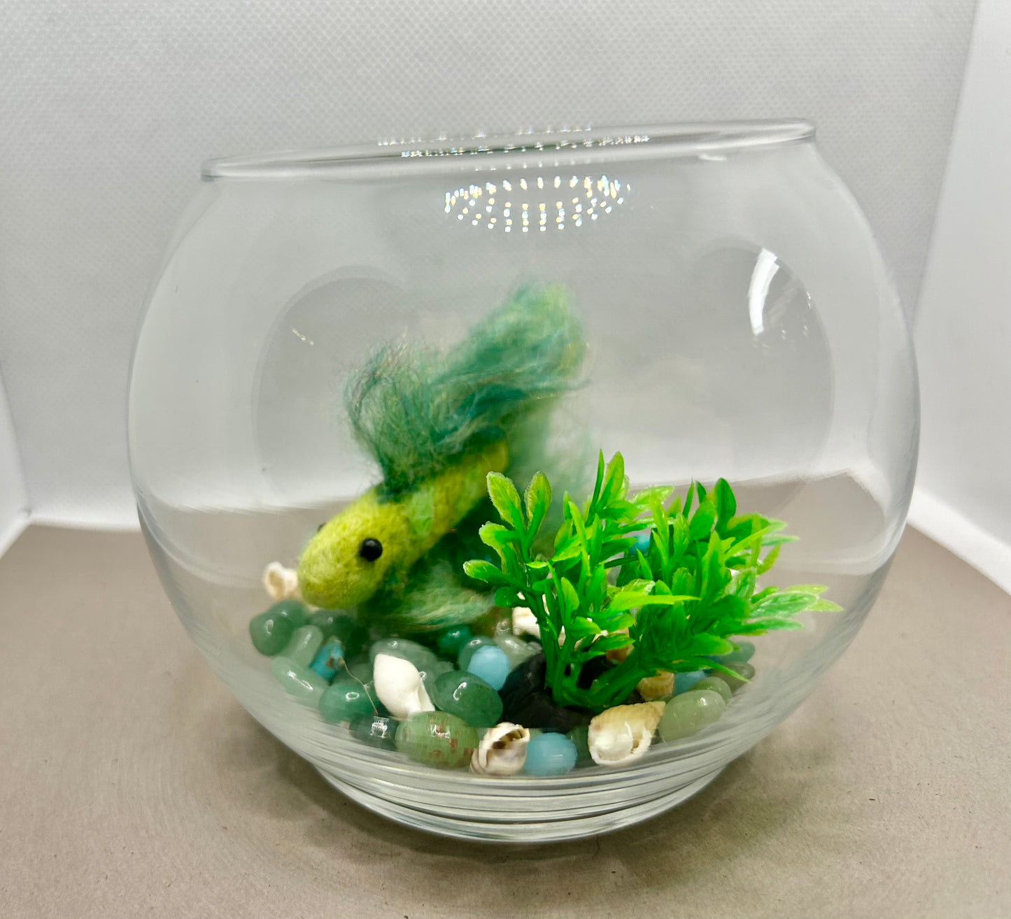 Mini Beta Fish Aquarium