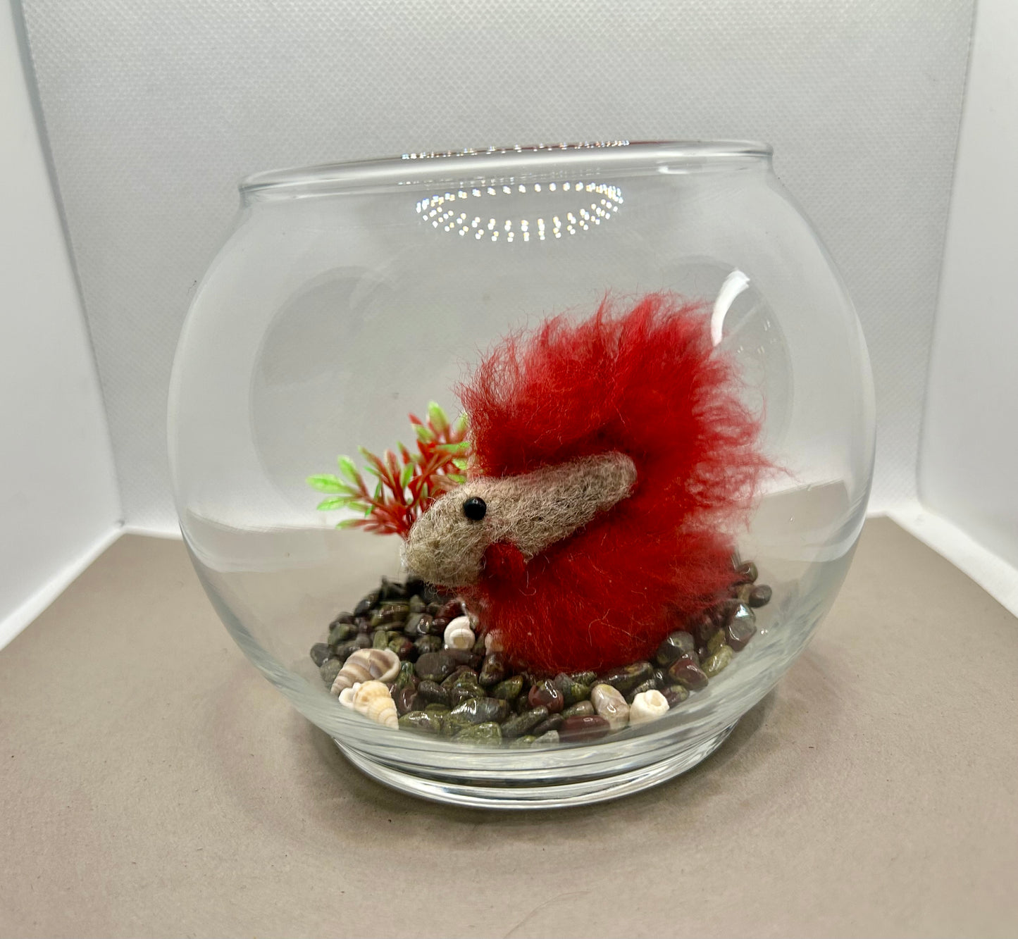 Mini Beta Fish Aquarium