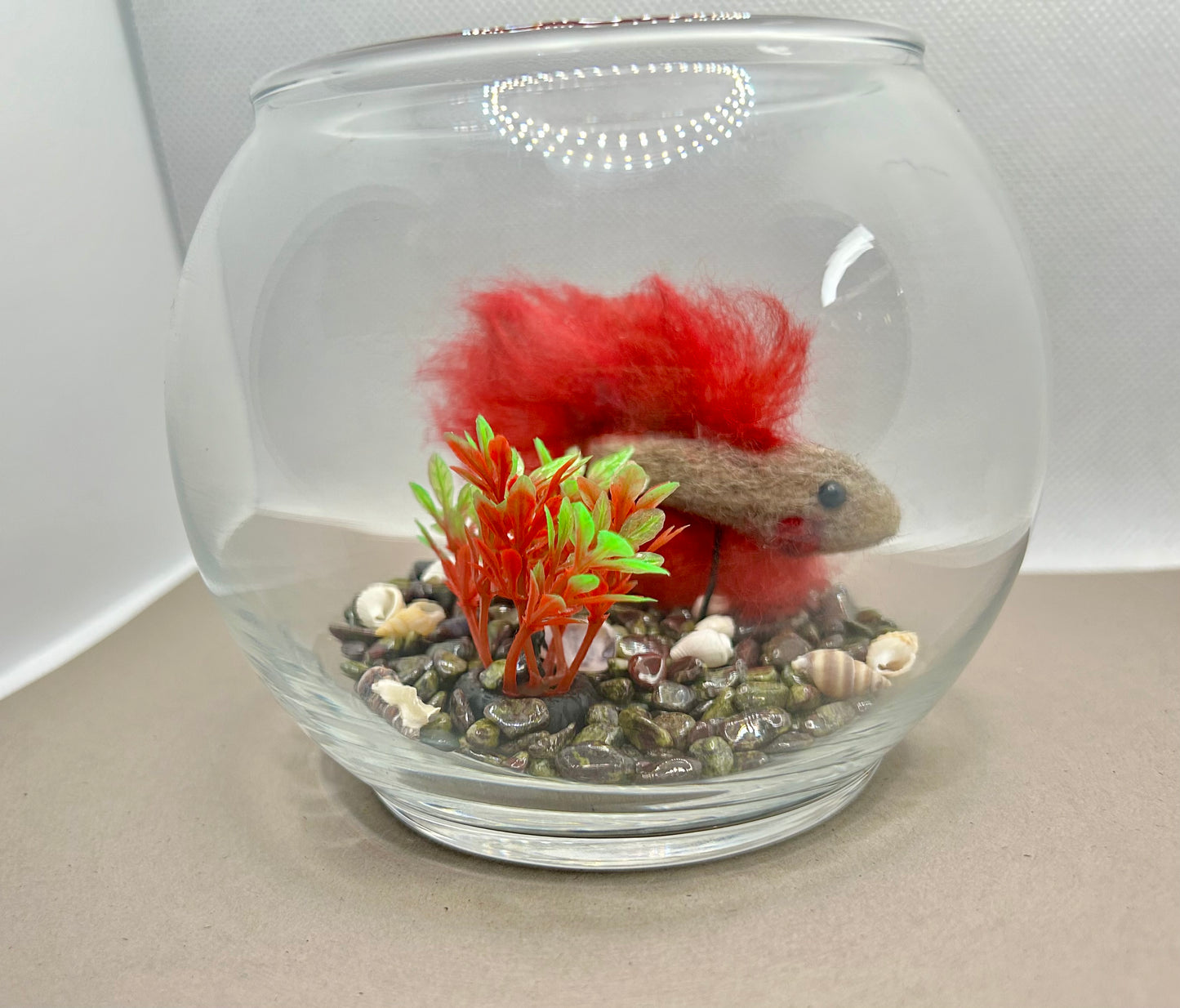 Mini Beta Fish Aquarium