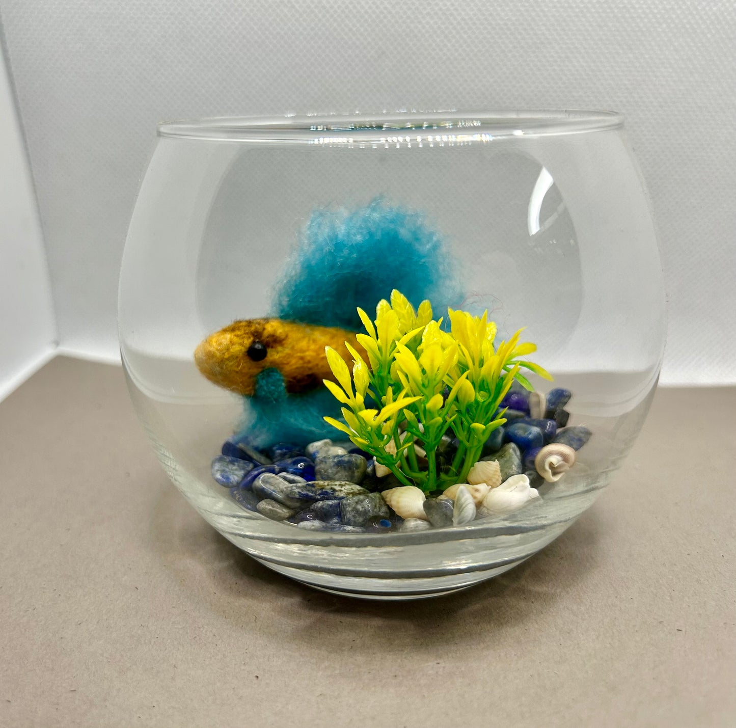 Mini Beta Fish Aquarium