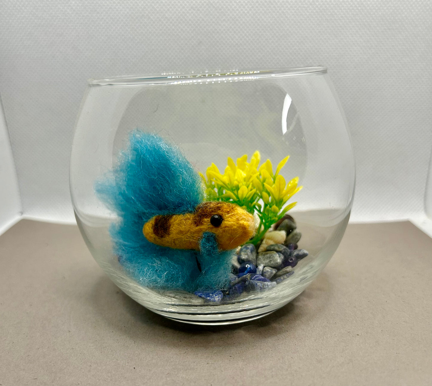 Mini Beta Fish Aquarium