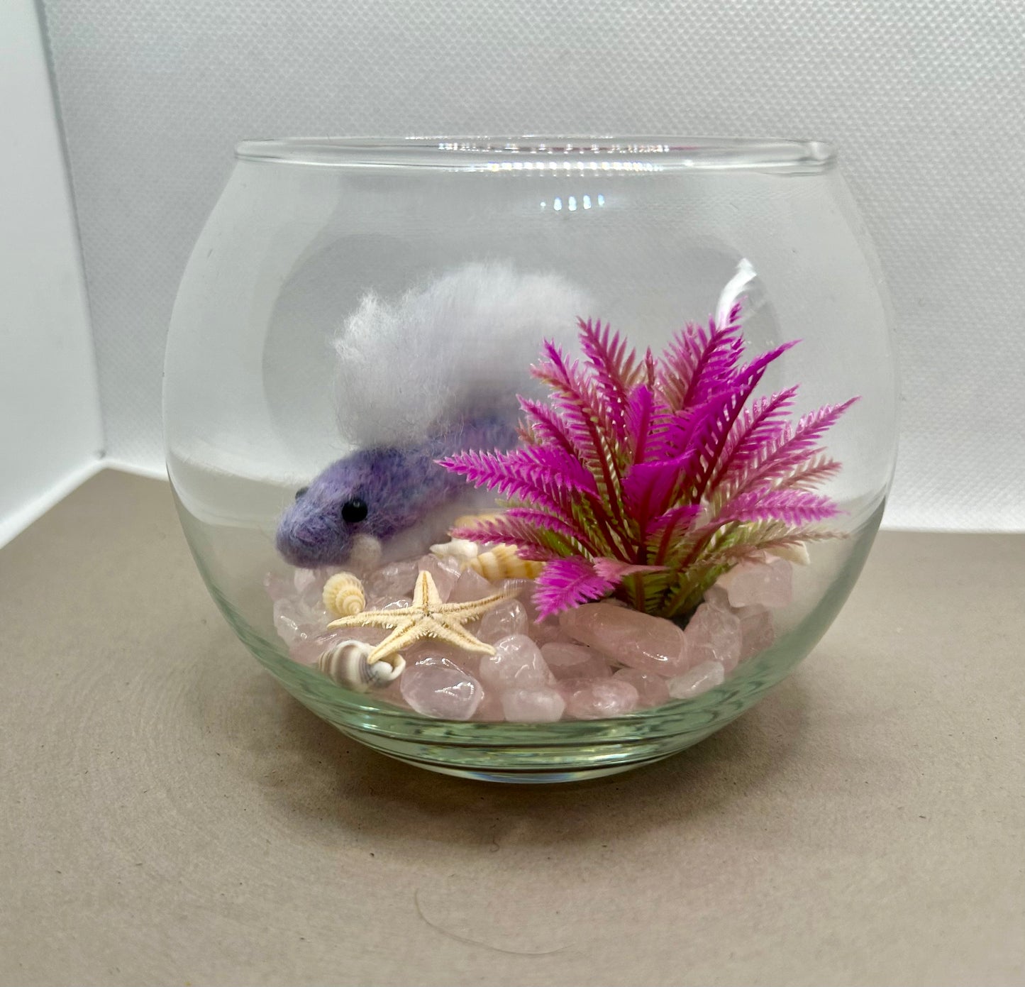 Mini Beta Fish Aquarium