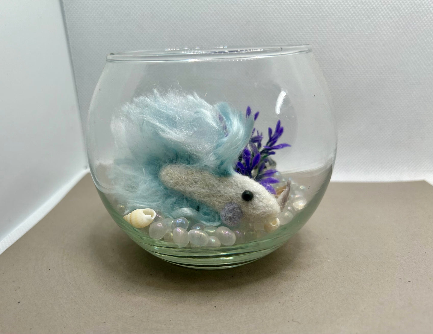 Mini Beta Fish Aquarium