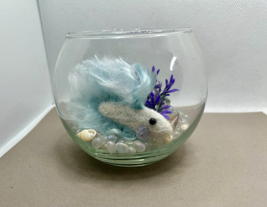 Mini Beta Fish Aquarium