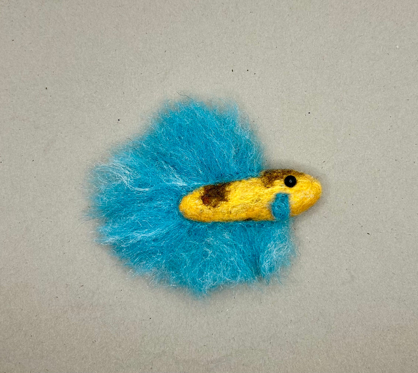 Mini Beta Fish Aquarium