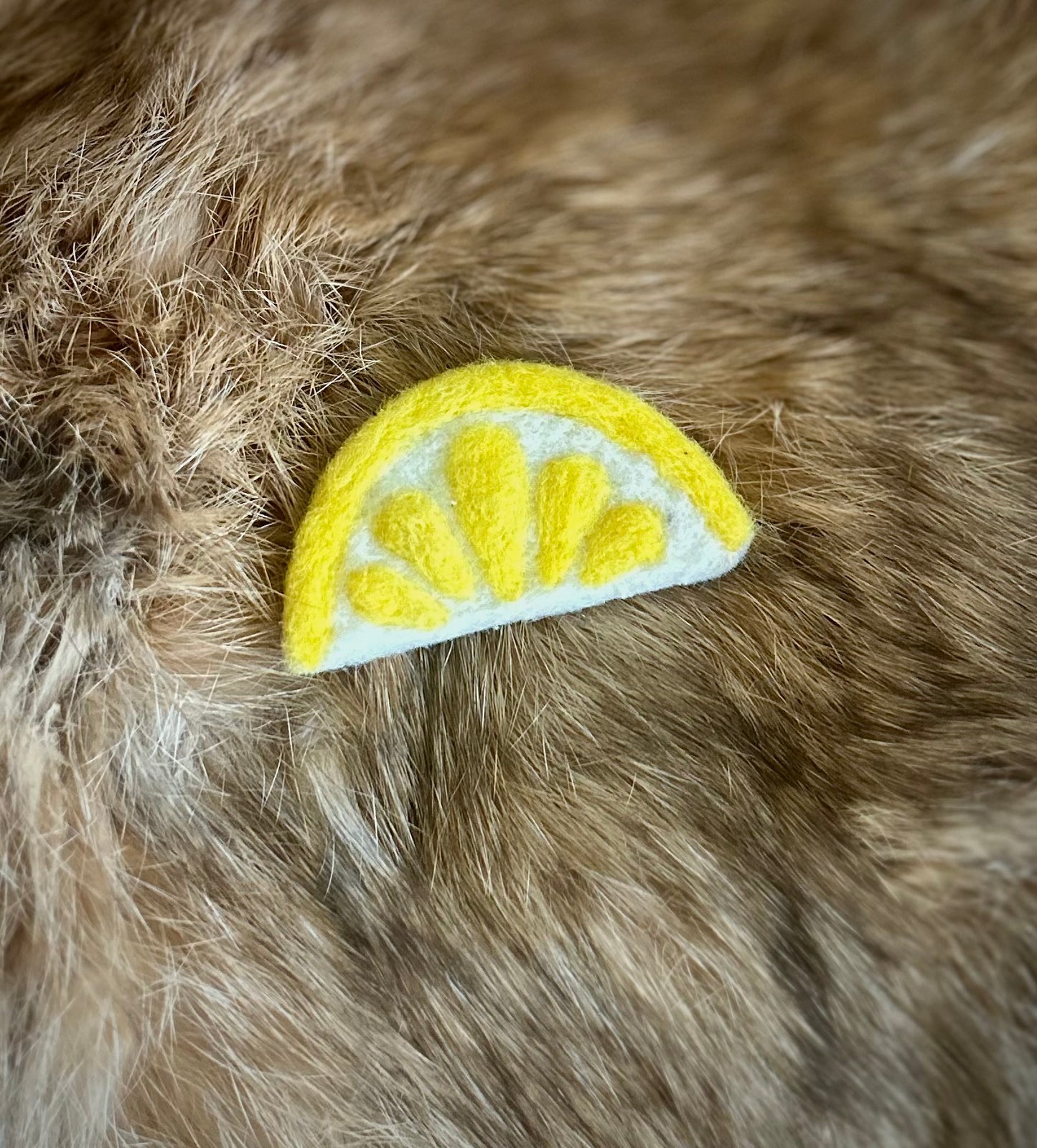 Summer Squeeze Brooches
