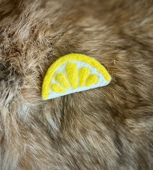 Summer Squeeze Brooches
