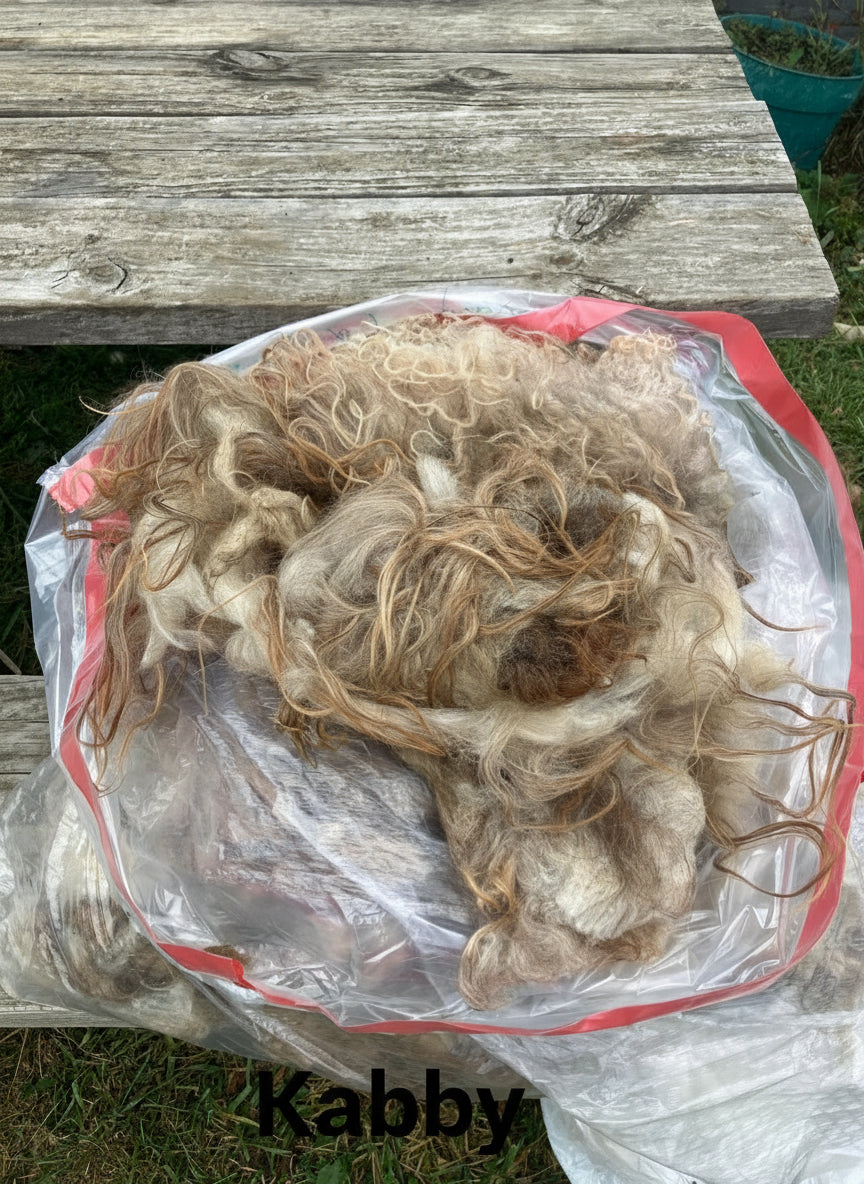 Icelandic Fleeces