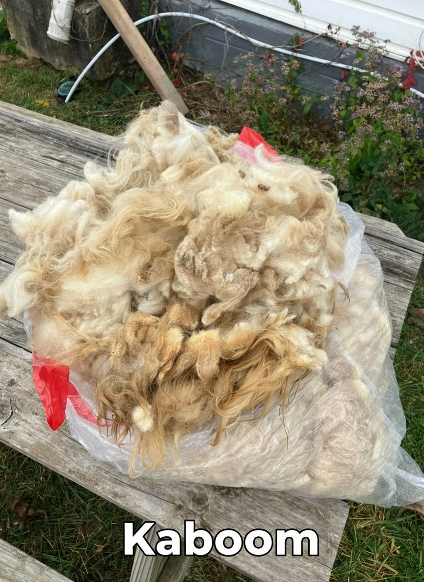 Icelandic Fleeces
