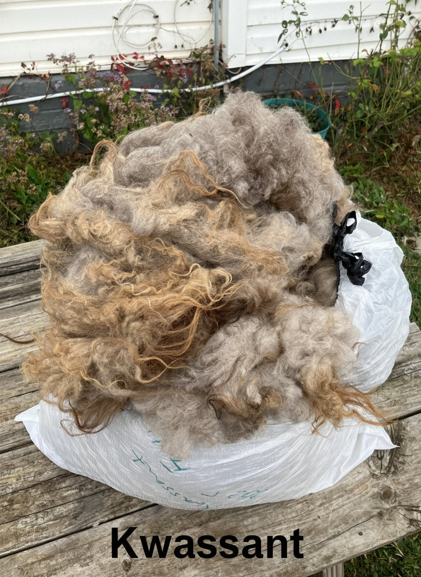 Icelandic Fleeces