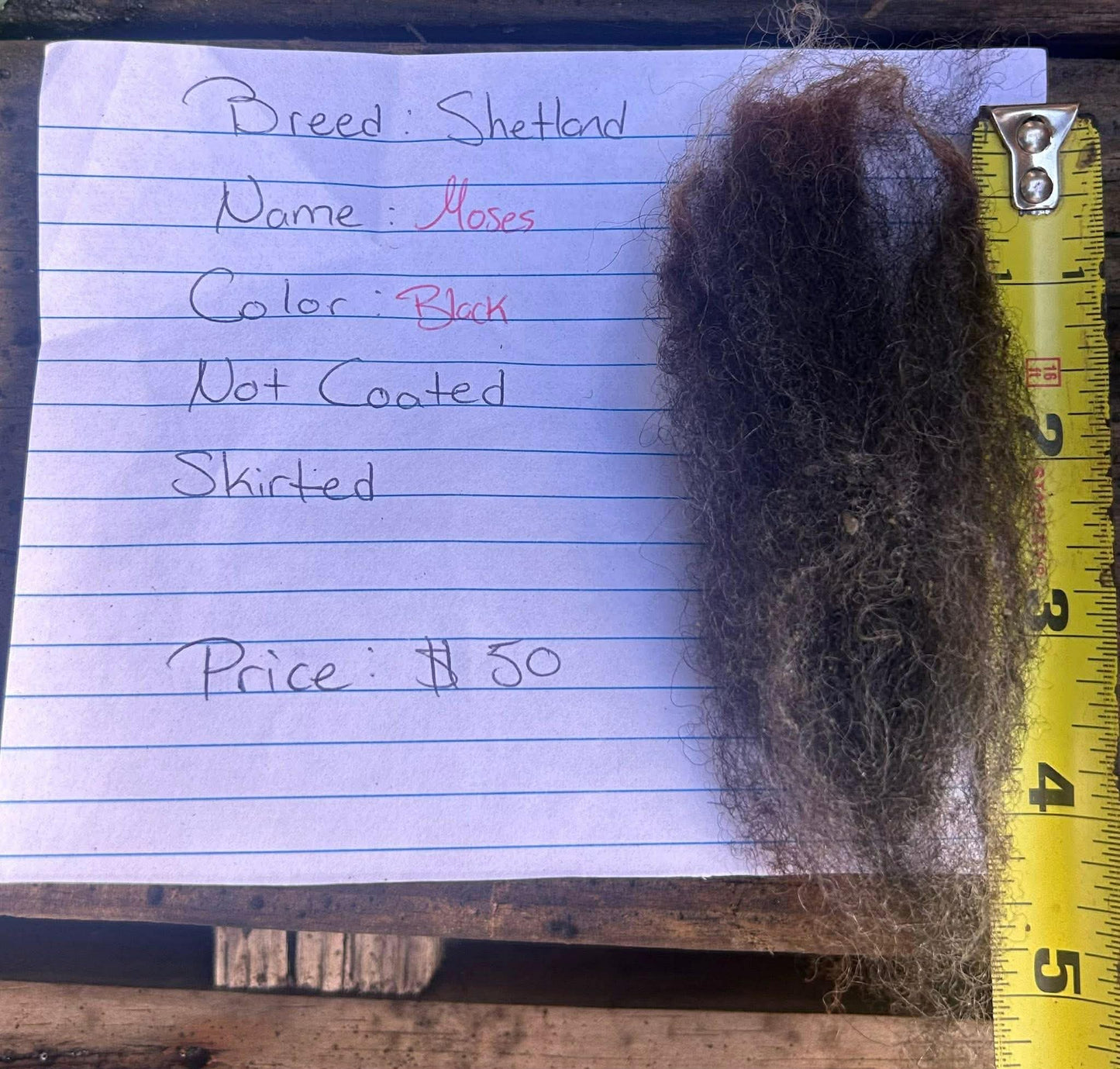 Shetland Fleeces