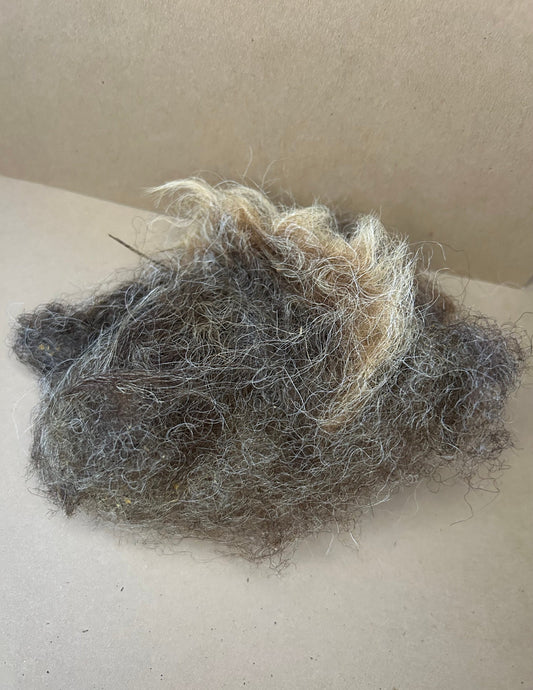 Raw East Frisian Wool (Sample Bags)