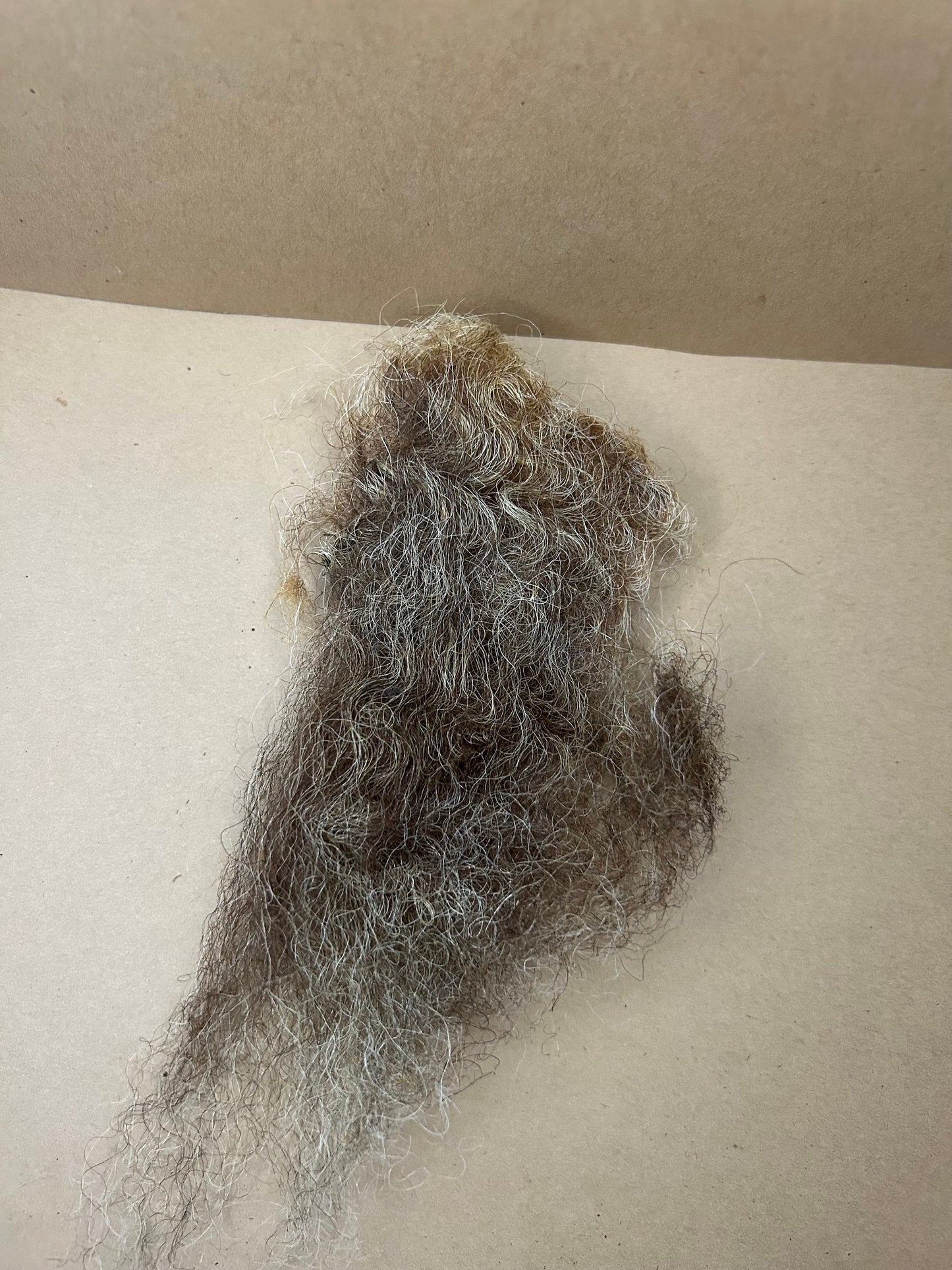 Raw East Frisian Wool (Sample Bags)